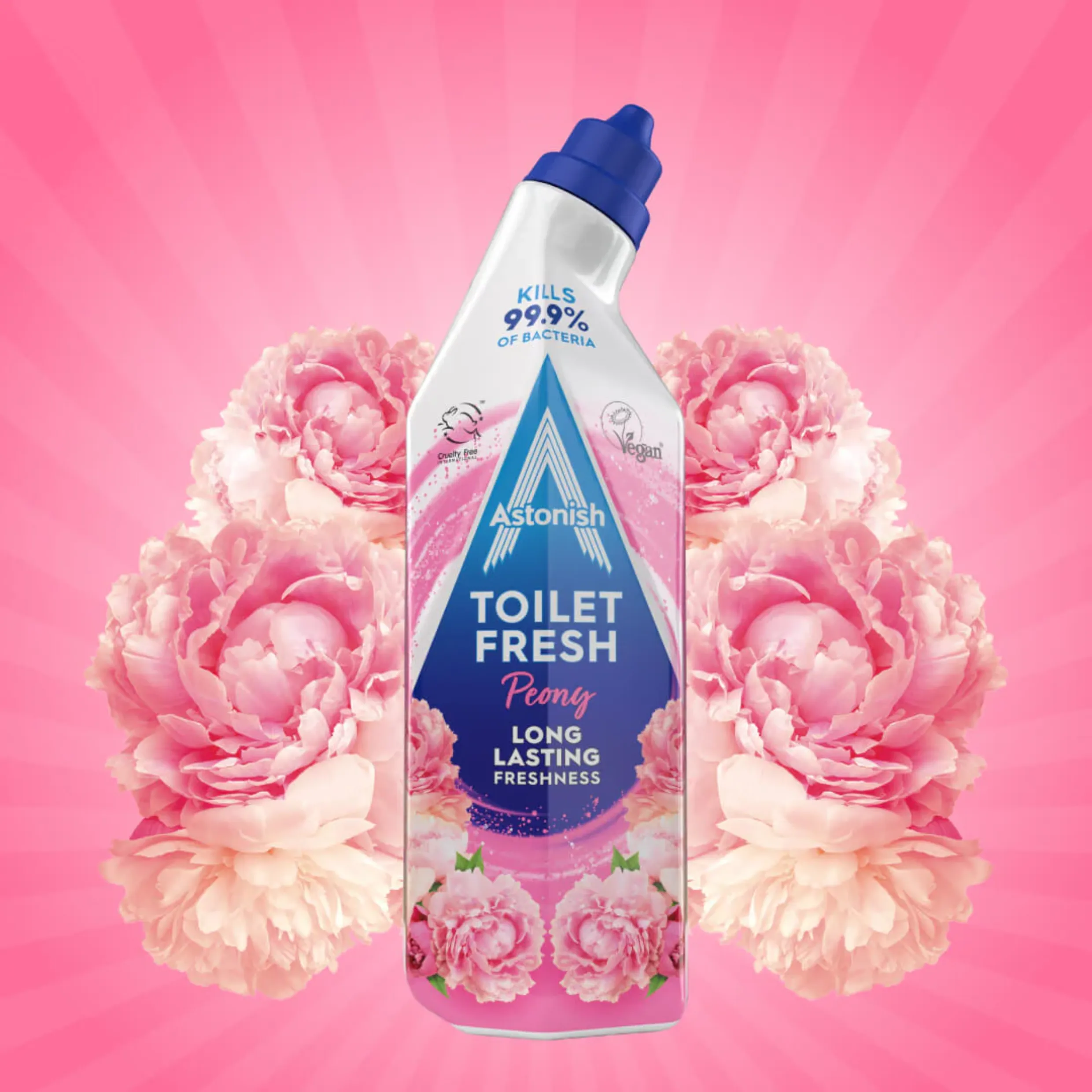 Astonish Toilet Fresh Gel - Various Scents Available