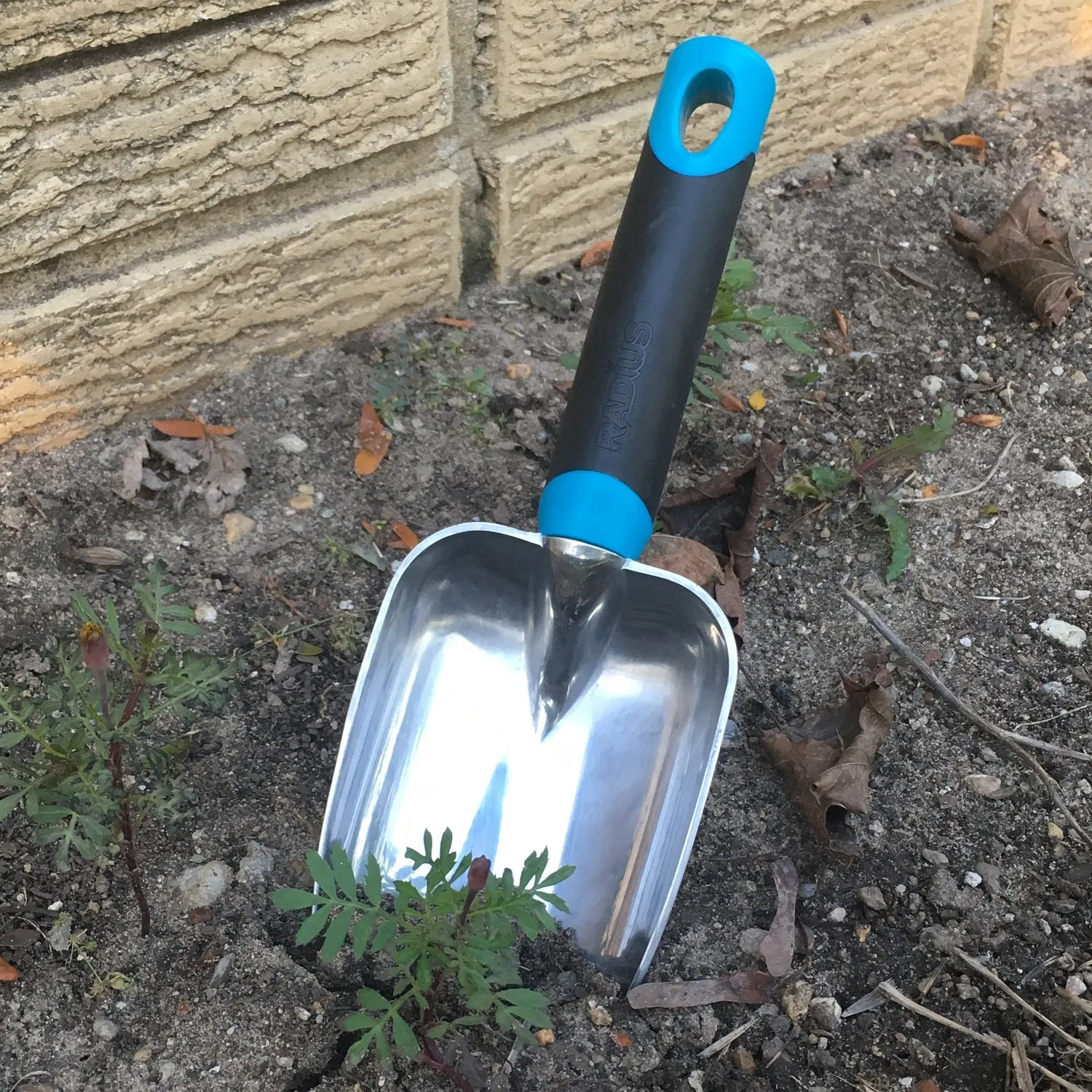 DIG Scooper