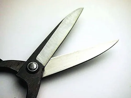 HONMAMON 'SAHO' Garden Shears  for Right Hander, Japanese Craftsman Handmade Aogami Steel