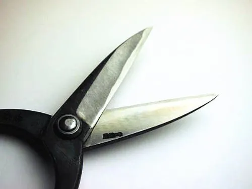 HONMAMON 'SAHO' Garden Shears  for Right Hander, Japanese Craftsman Handmade Aogami Steel