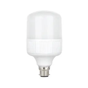 LED Bulb 30W B22 Warmwhite