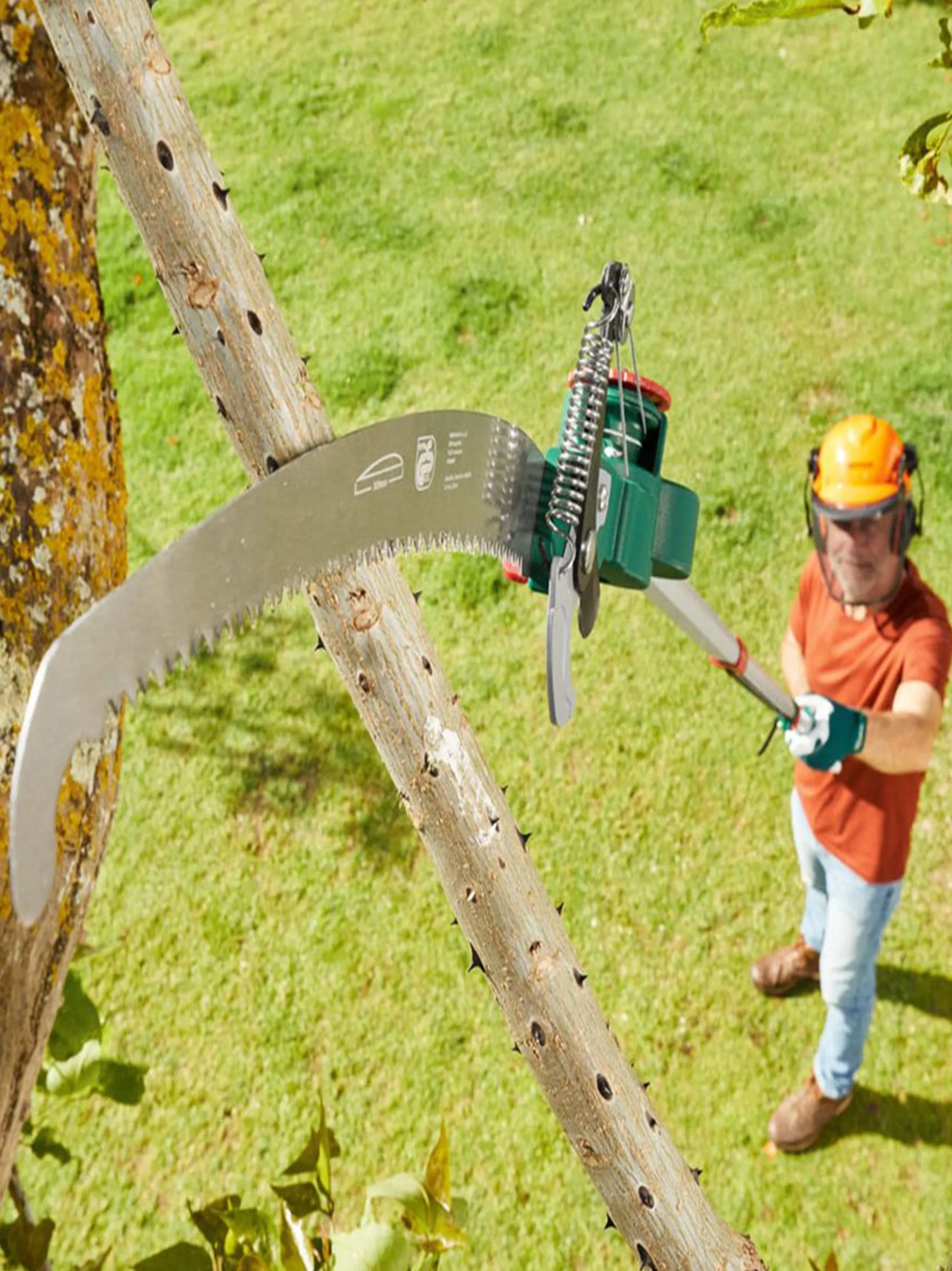 Telescopic Tree Shears